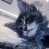 avatar-img