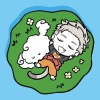 avatar-img