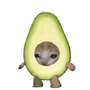 avatar-img