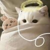 avatar-img