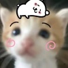 avatar-img