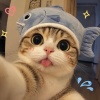 avatar-img