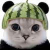 avatar-img